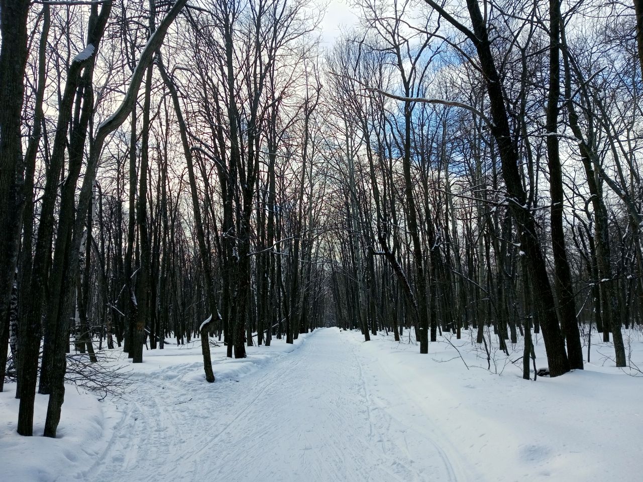 В первую весеннюю субботу в Саратовской области потеплеет до +3 градусов