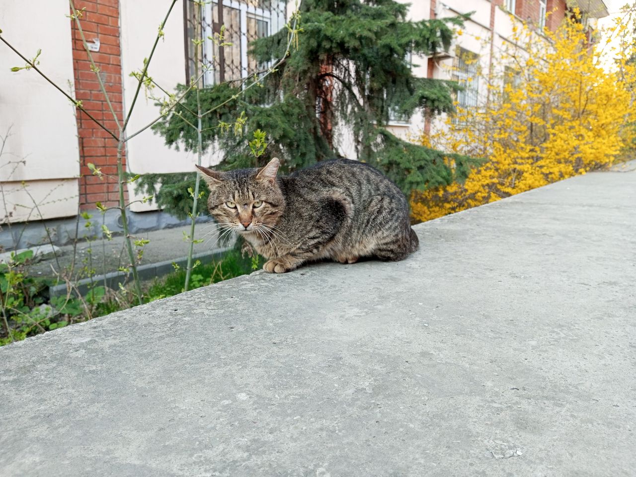 С дождями завершится апрель в Саратовской области