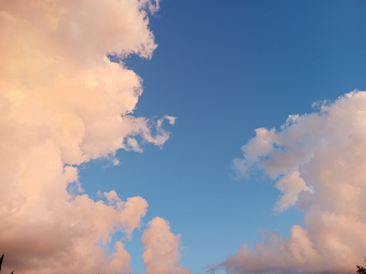 Саратовцев предостерегают о ночных и утренних заморозках