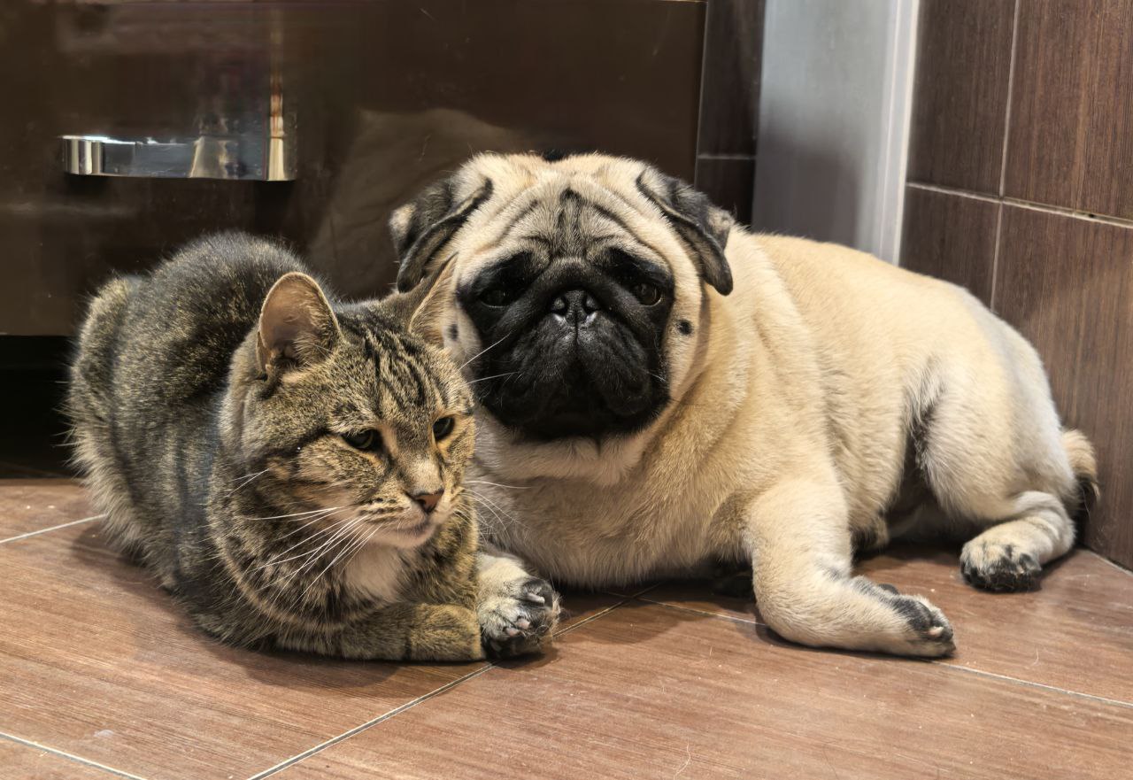 Теплую погоду и туман обещают саратовцам во вторник