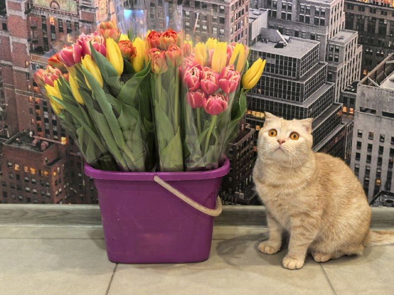 Снежную метель и ветер обещают саратовцам на 8 Марта