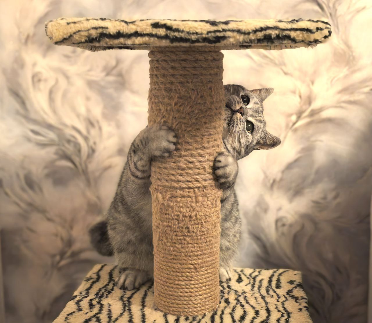 Южный ветер принесет в Саратовскую область потепление до +14 градусов 18 ноября