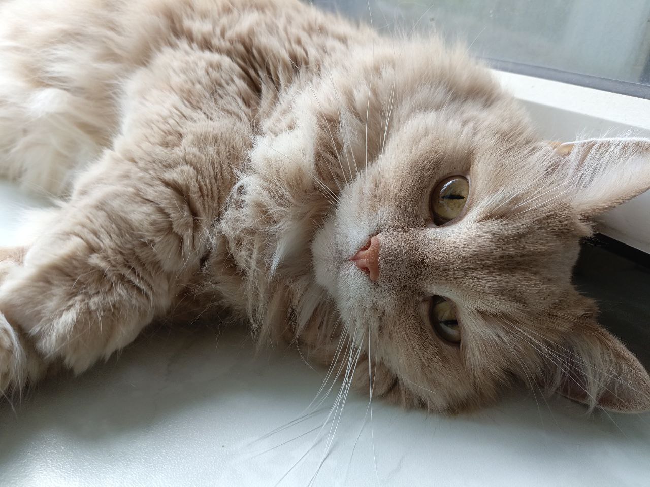 Во вторник в Саратовской области будет до +9 градусов