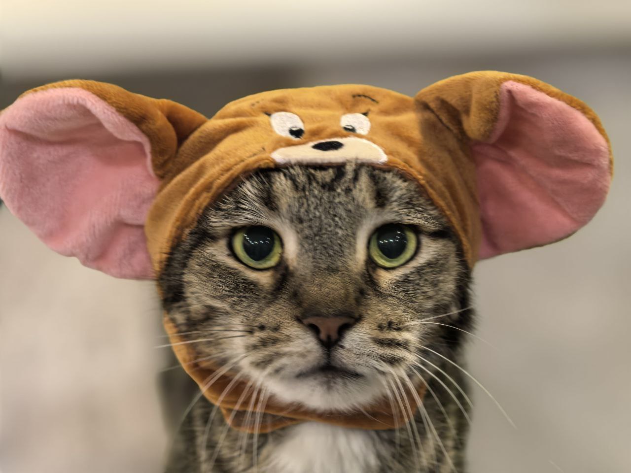 В субботу в Саратовской области слегка потеплеет