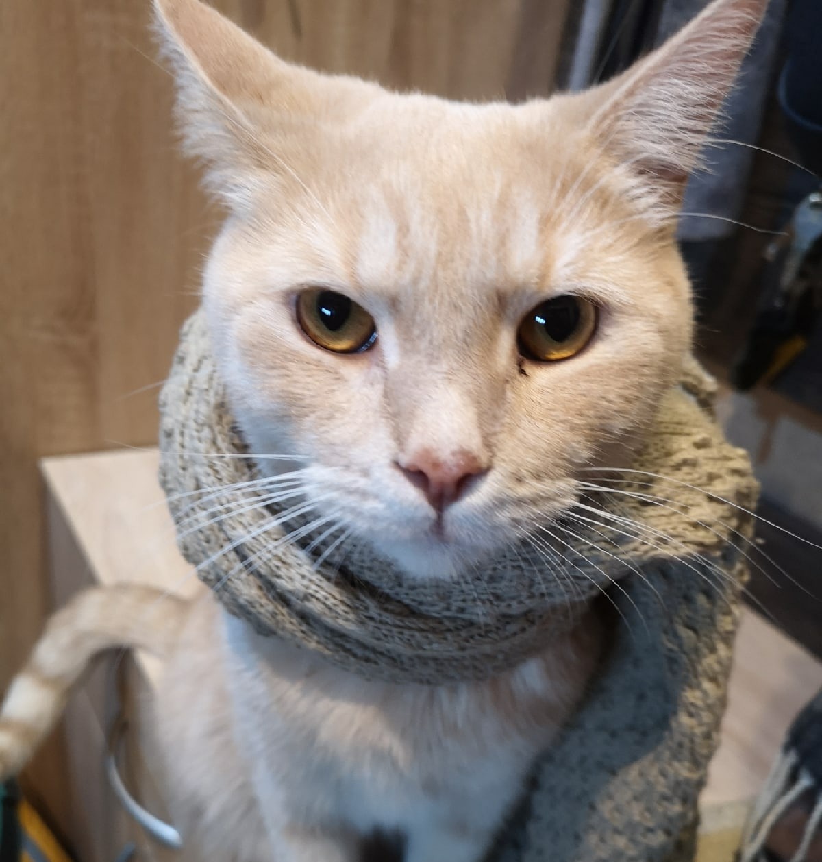 Холодно будет в Саратовской области 20 ноября