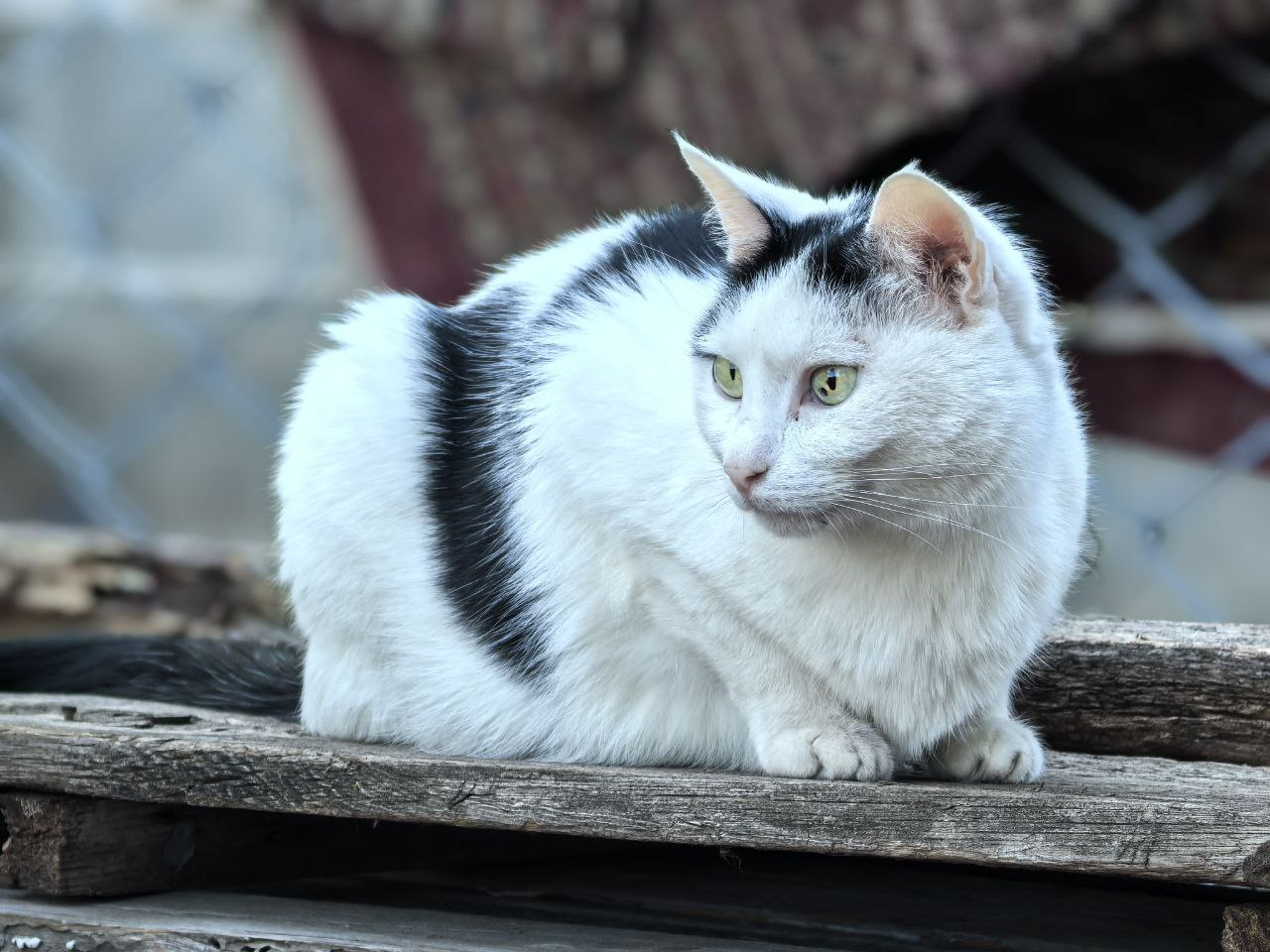 Первый день зимы принесет в Саратовскую область морось и туман