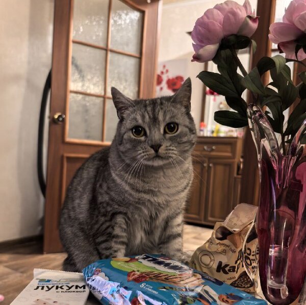 Первый день весны принесет саратовцам потепление со снегом