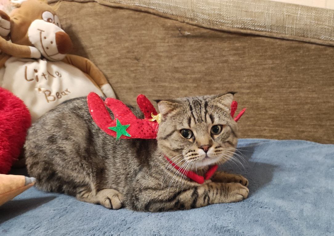 Саратовцы проводят 2025 год под снегом и с ветерком