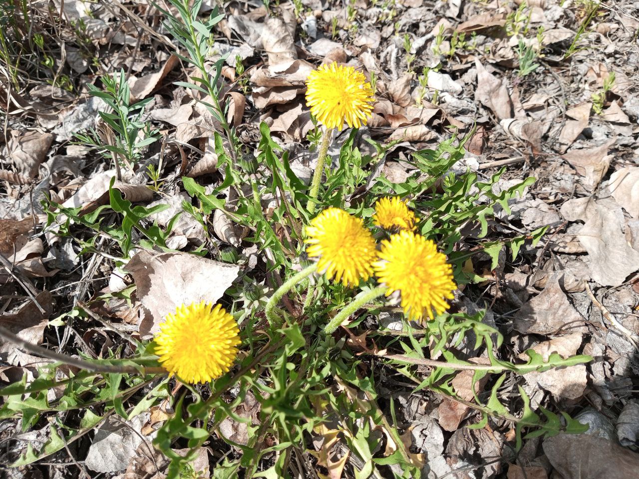 Дождь со снегом и сильный ветер обещают саратовцам на Радоницу