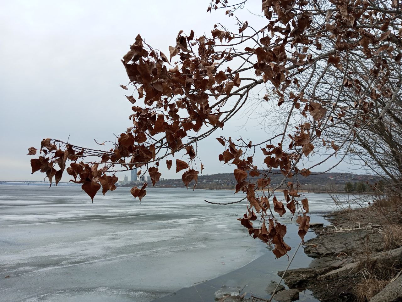 Ученый предостерегает саратовцев от прогулок по льду Волги весной Ученый предостерегает саратовцев от прогулок по льду Волги весной