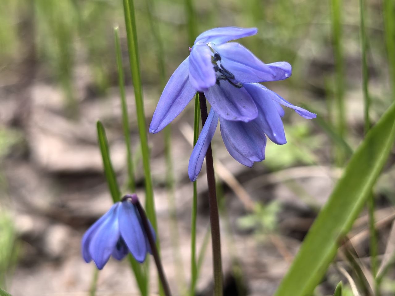 Прохладная пасмурная погода ожидает саратовцев во вторник