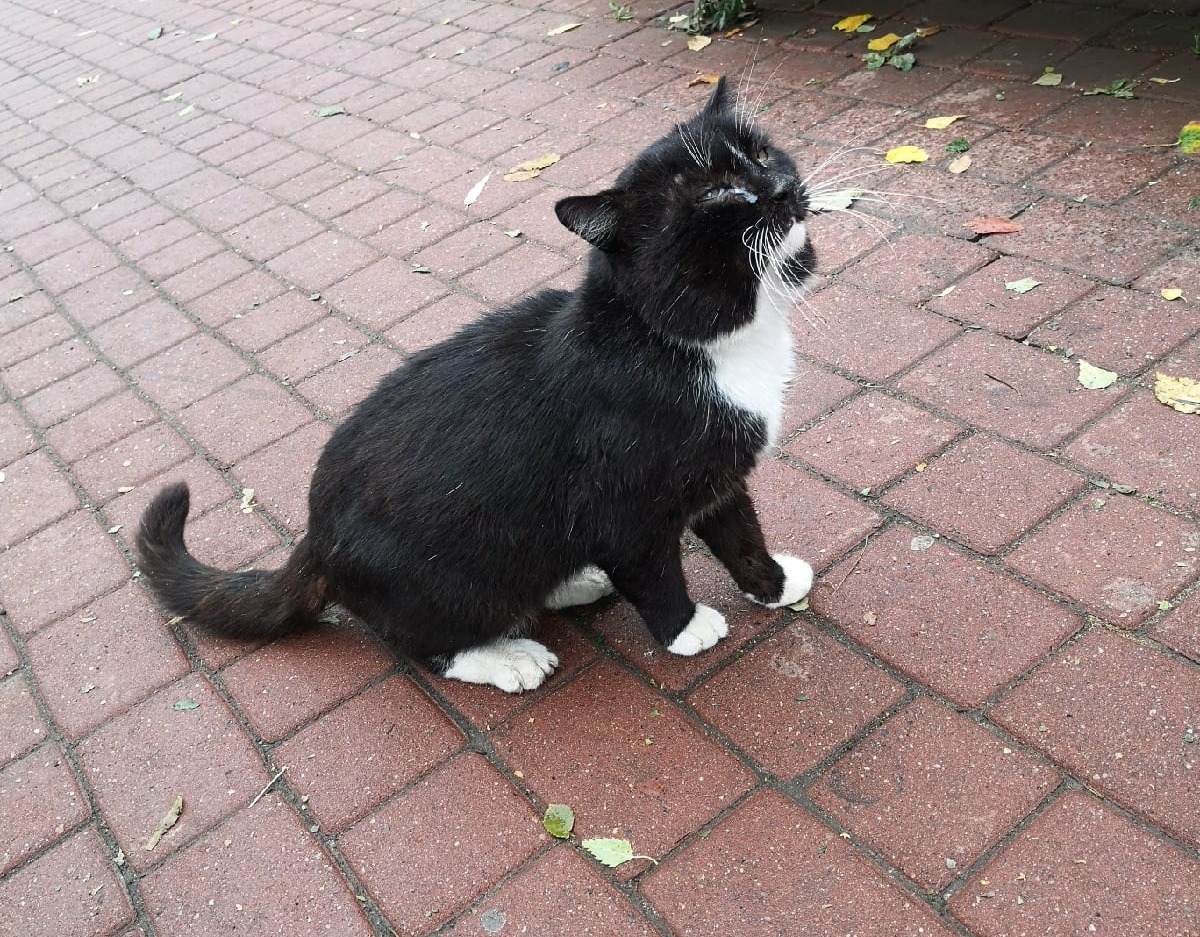 Четверг в Саратовской области выдастся теплым