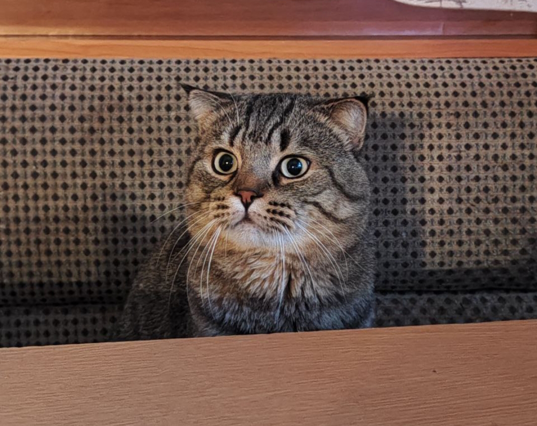 Незначительное похолодание ожидается в Саратовской области 2 декабря