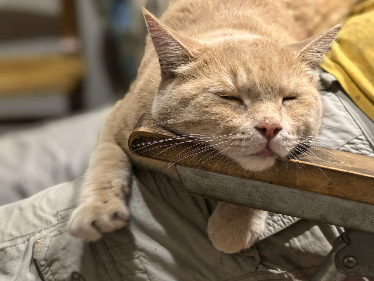 В субботу саратовцев порадует теплая и солнечная погода В субботу саратовцев порадует теплая и солнечная погода