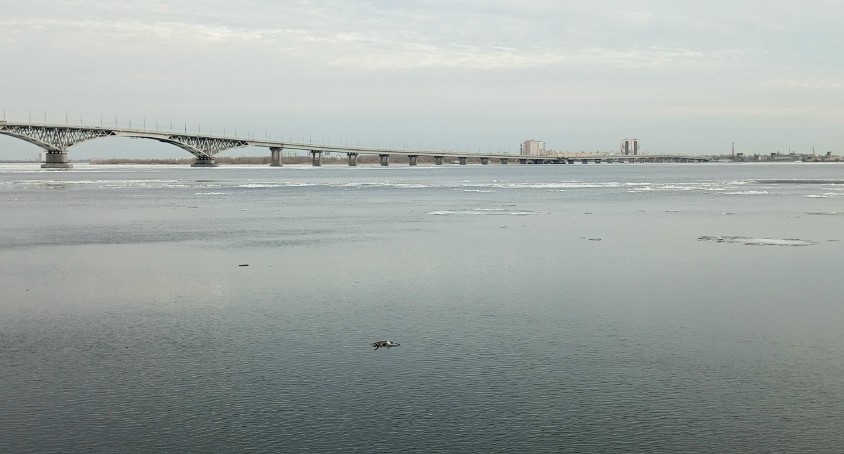 Погода в Саратовской области бьет рекорд по теплу в последние дни марта Погода в Саратовской области бьет рекорд по теплу в последние дни марта