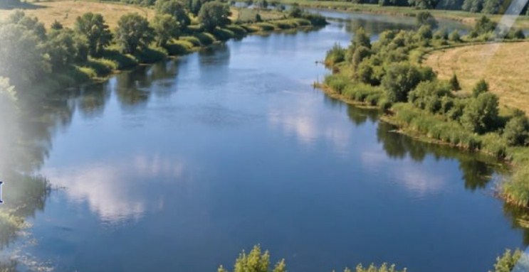 Саратовцу незаконно продали землю с озером под разведение рыбы