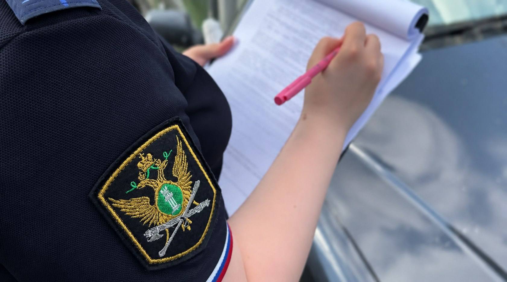 Приставы заставили саратовца убрать вольер для собак с государственной земли Приставы заставили саратовца убрать вольер для собак с государственной земли