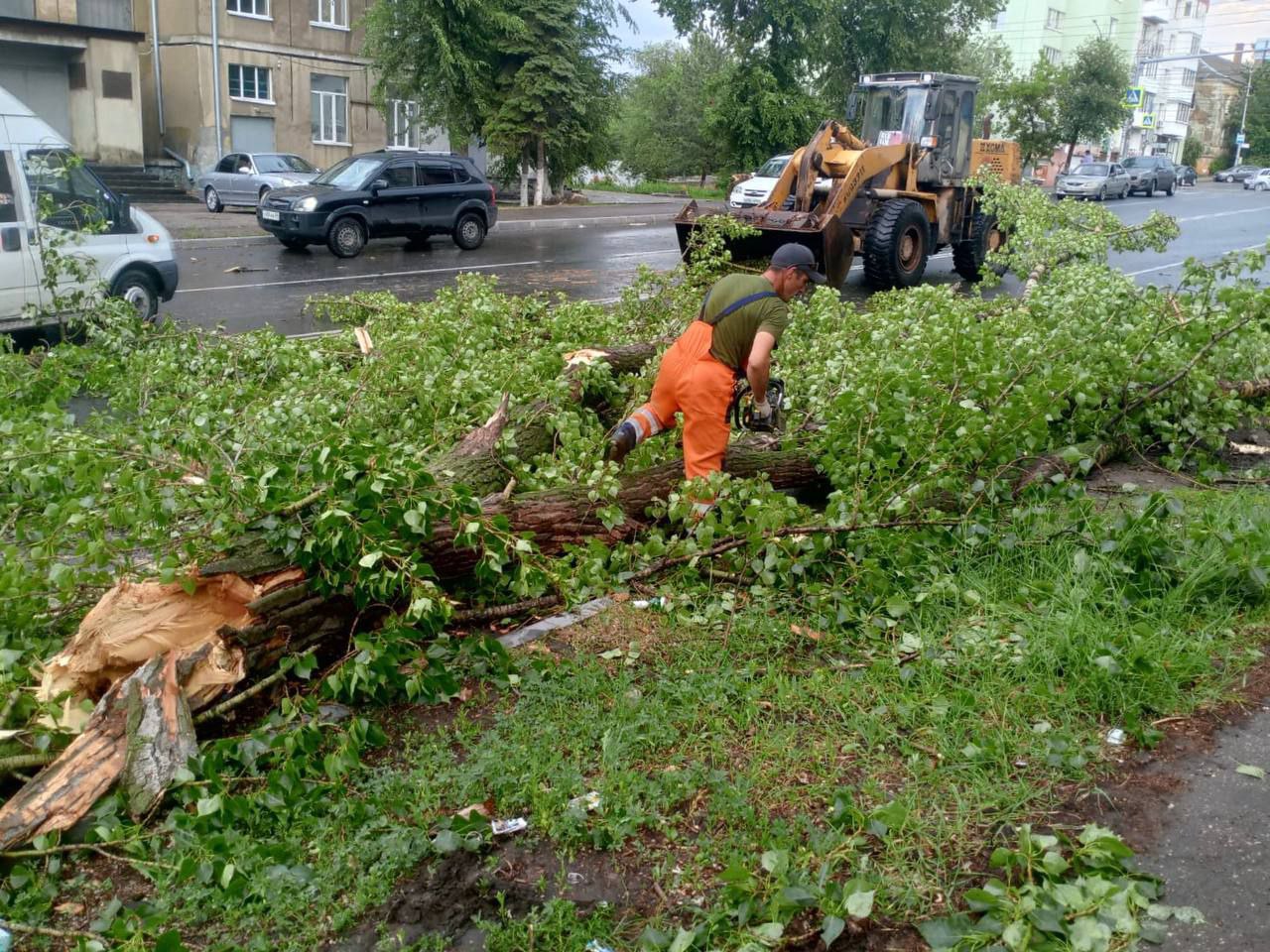 Последствия урагана