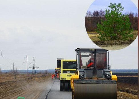 Ремонт аткарской дороги с елкой