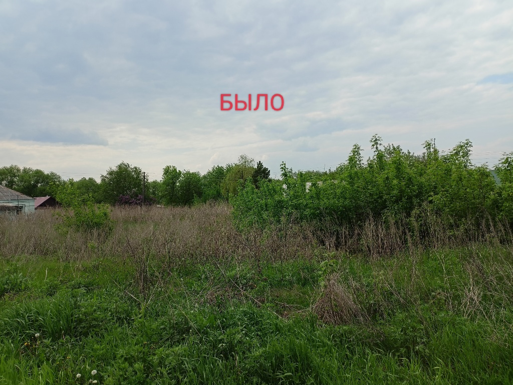 Пустырь в Кипцах