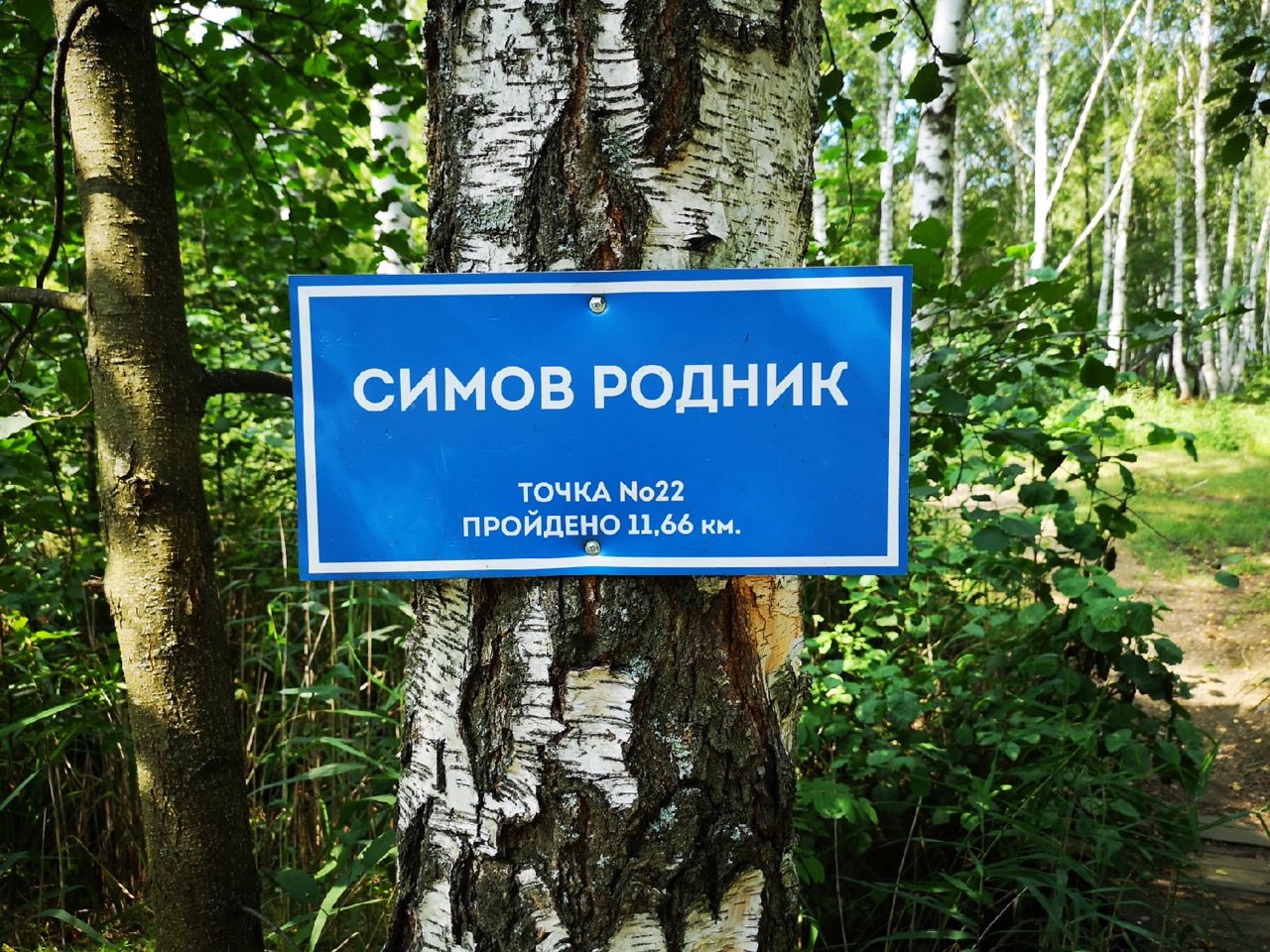 Лох Симов родник