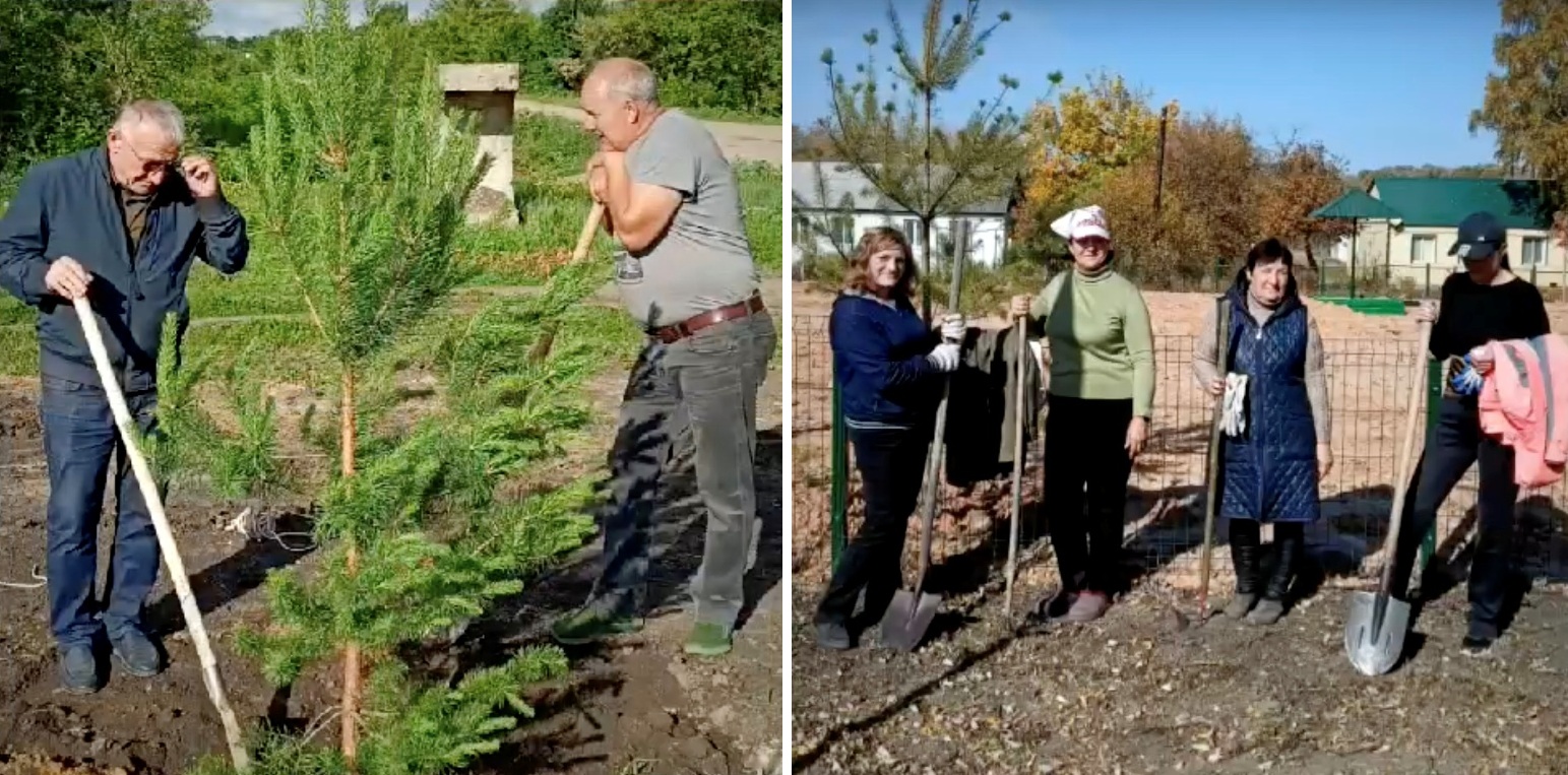 Высадка деревьев в Кипцах