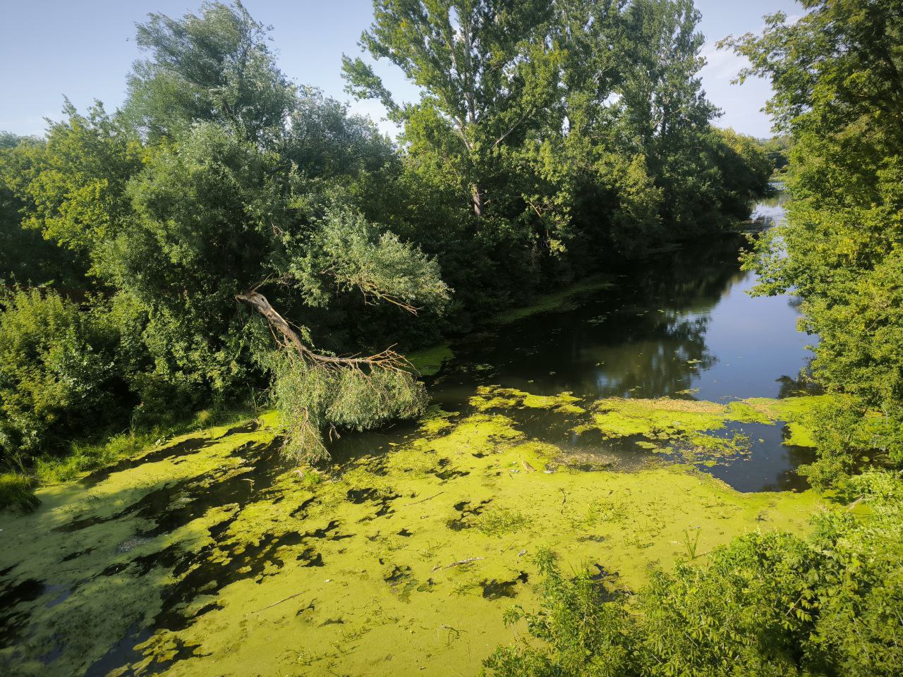 Максим Калядин исследует Медведицу 1