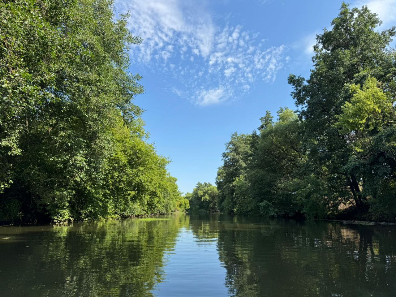 Максим Калядин исследует Медведицу 4