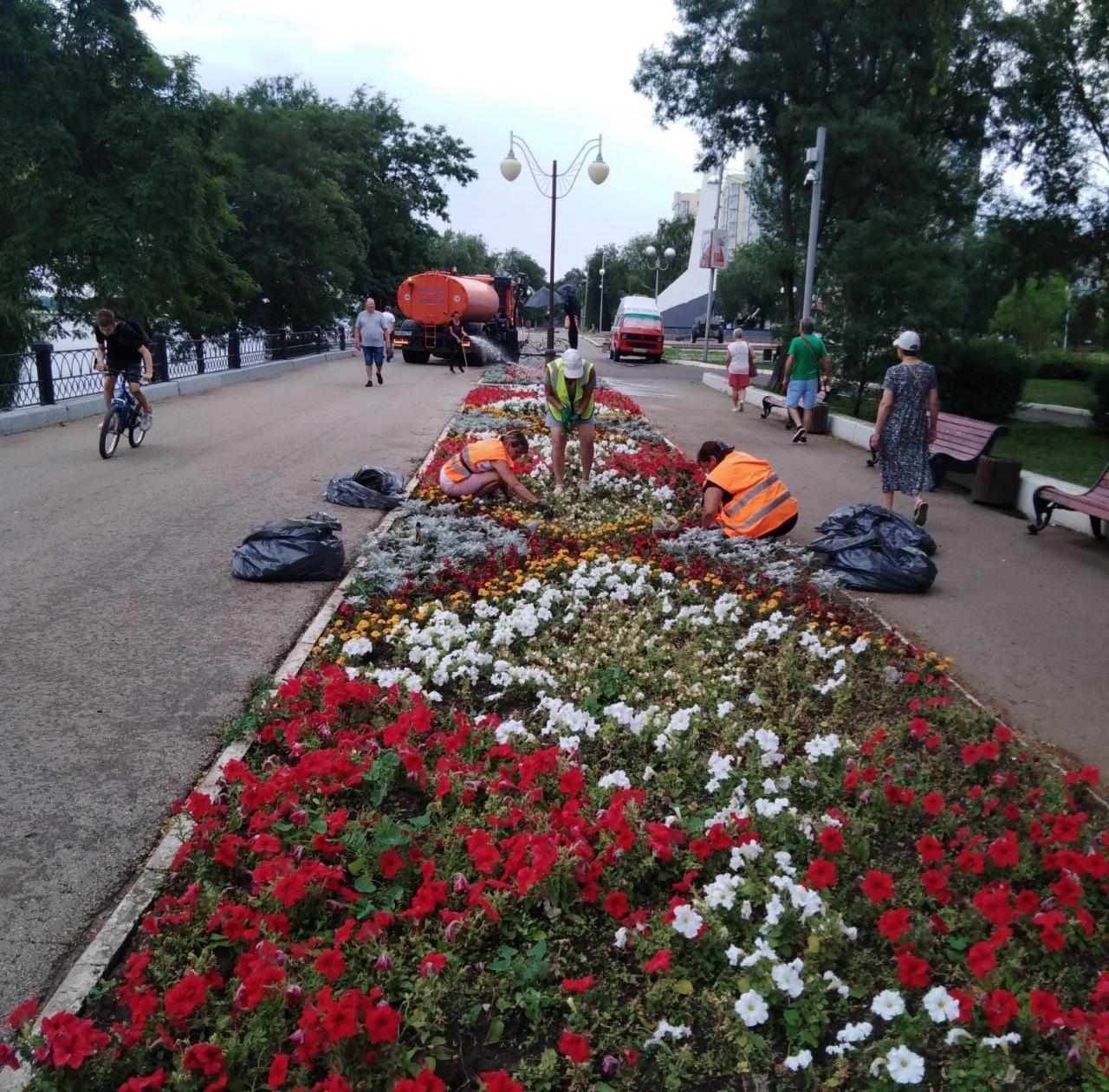 Озеленение в Энгельсе