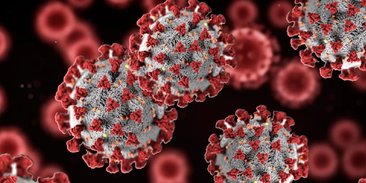 Саратовцам не грозит заражение новыми штаммами коронавируса