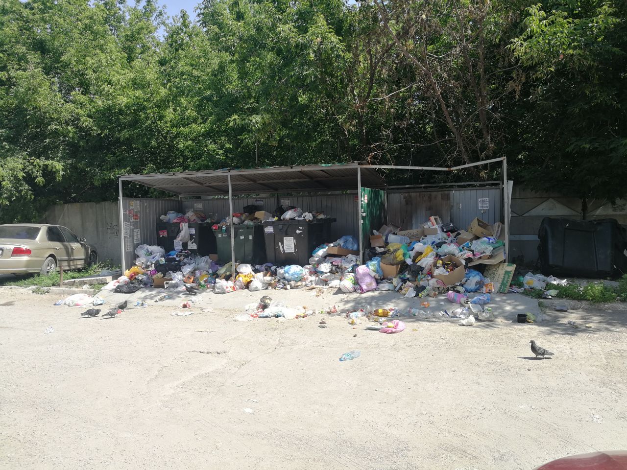 «Коль некуда сложить, нужно завалить баки»: в мусоре и грязи по всему городу «Ситиматик» обвинил саратовцев