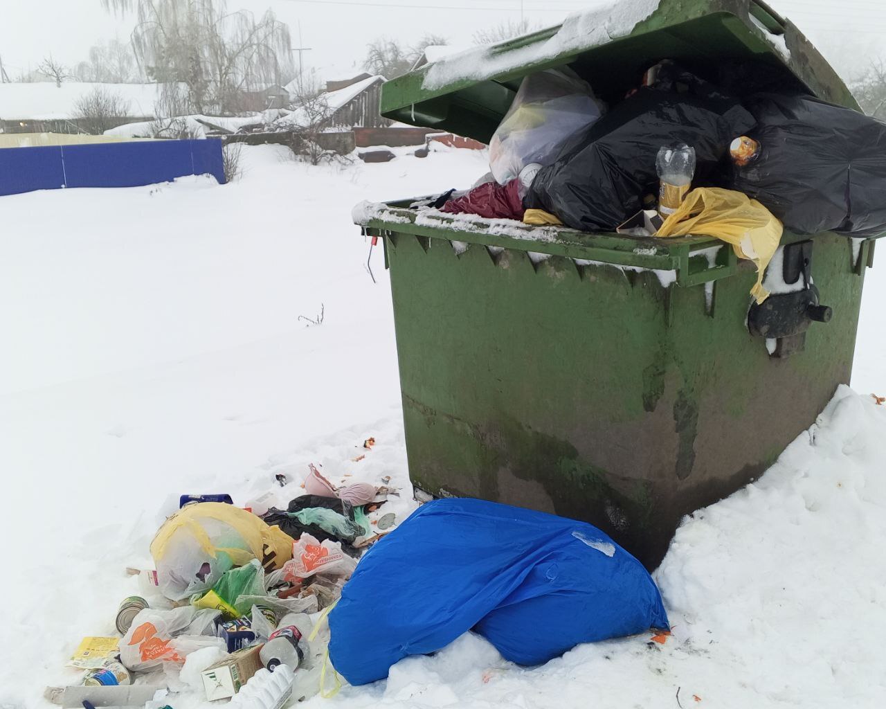 Мусор в Саратовской области 11 01 2026