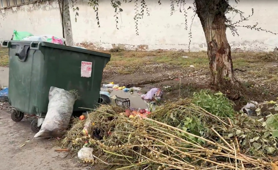Саратовцы замусорили улицы городов ветками, листвой и яблоками Саратовцы замусорили улицы городов ветками, листвой и яблоками