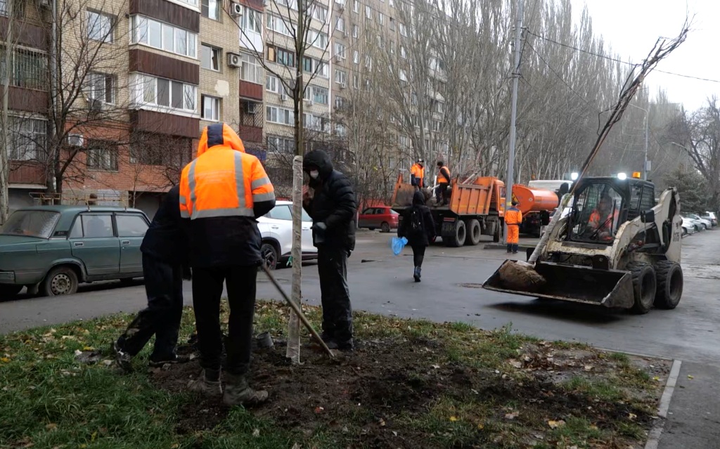 Высадка деревьев в Саратове в ноябре 2025