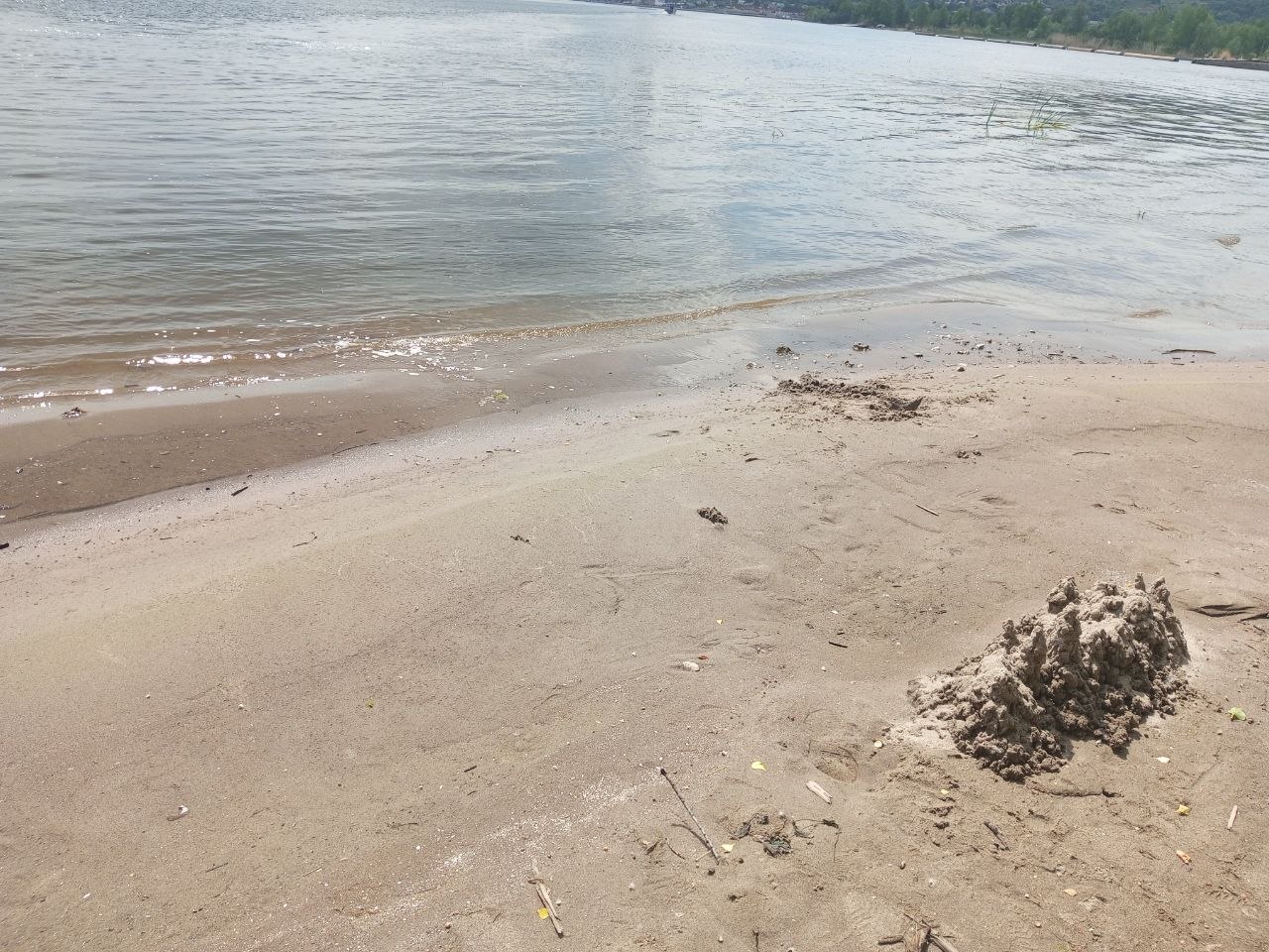 Саратовцев обеспокоило резкое снижение уровня воды в Волге Саратовцев обеспокоило резкое снижение уровня воды в Волге