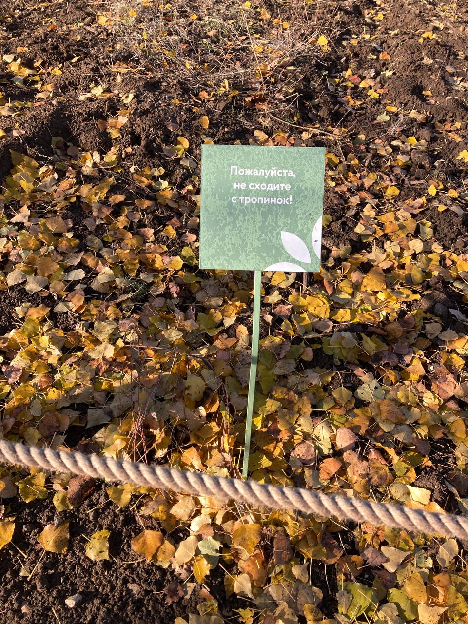 Ботанический сад СГУ 7