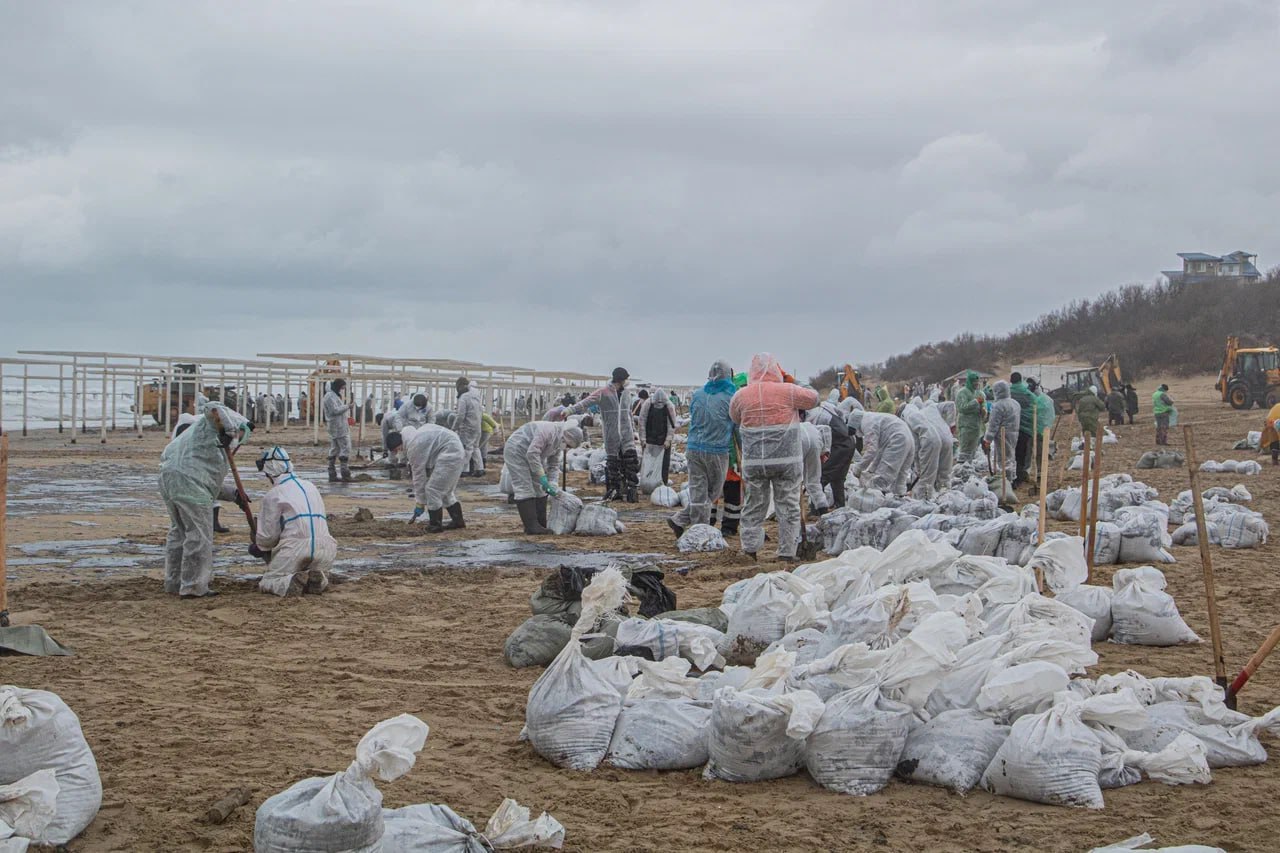 Волонтеры на Черном море 