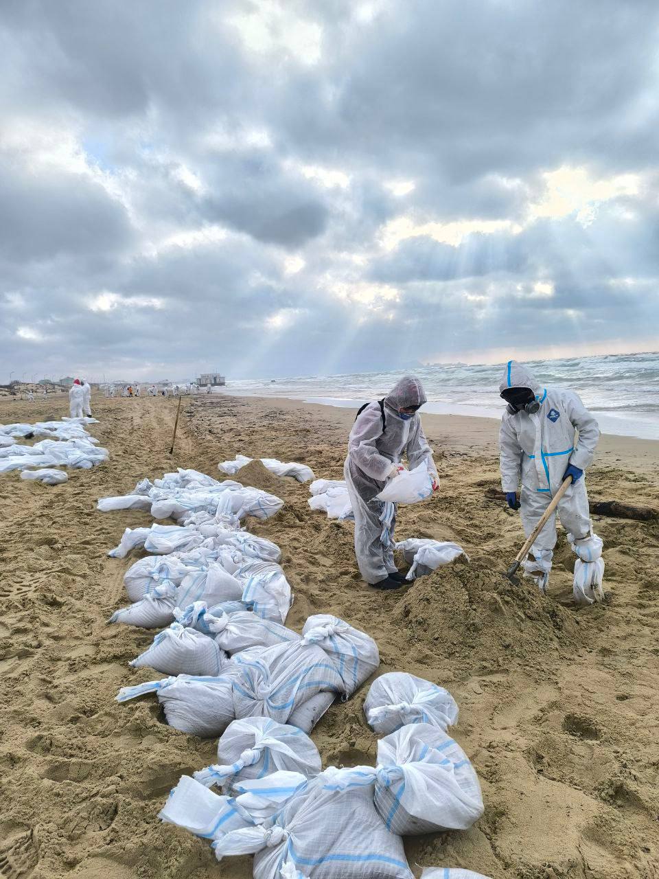 Сбор мазута в мешки на Черном море