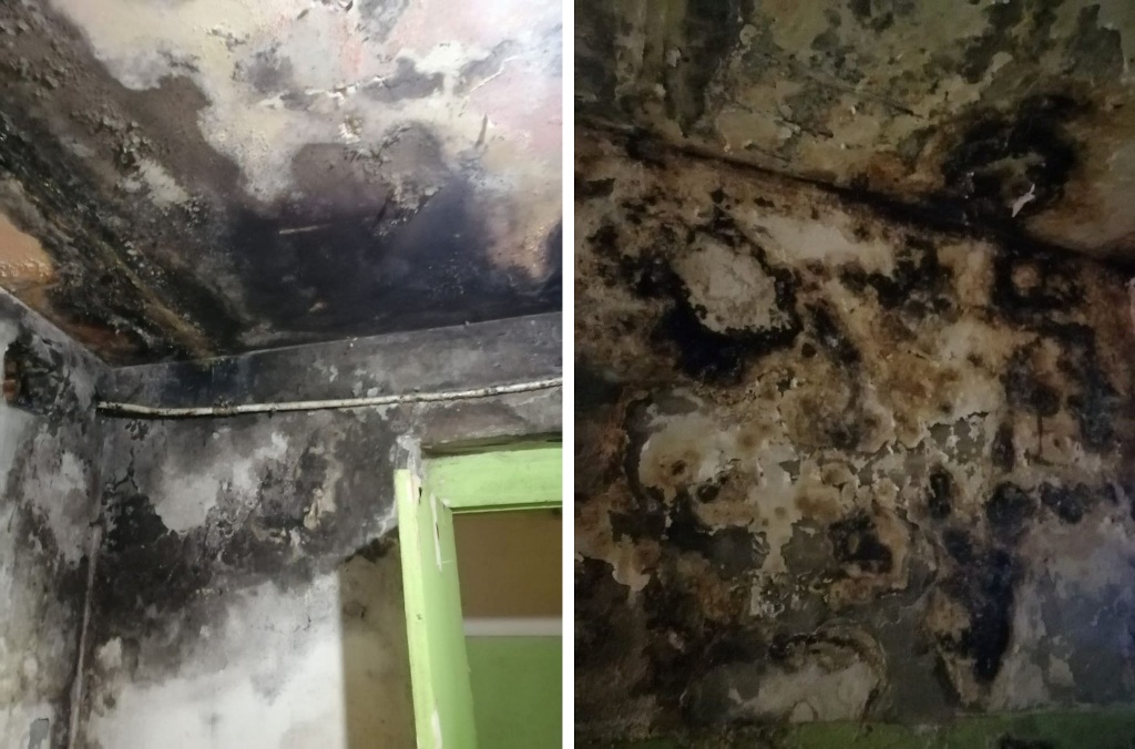 Аварийный дом с плесенью в Энгельсе 1