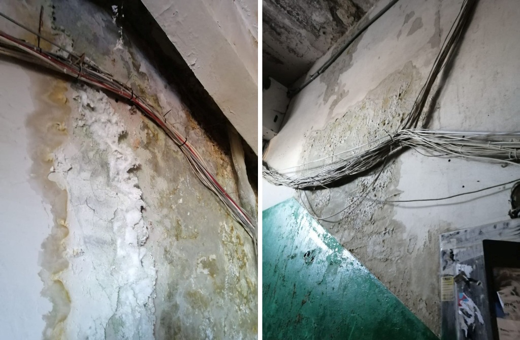 Аварийный дом с плесенью в Энгельсе 2