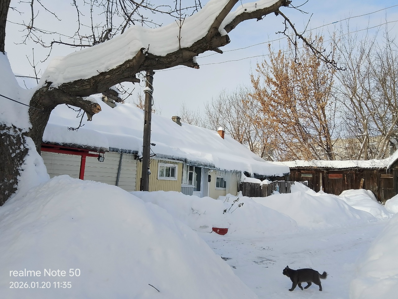 Без воды Завчик 5