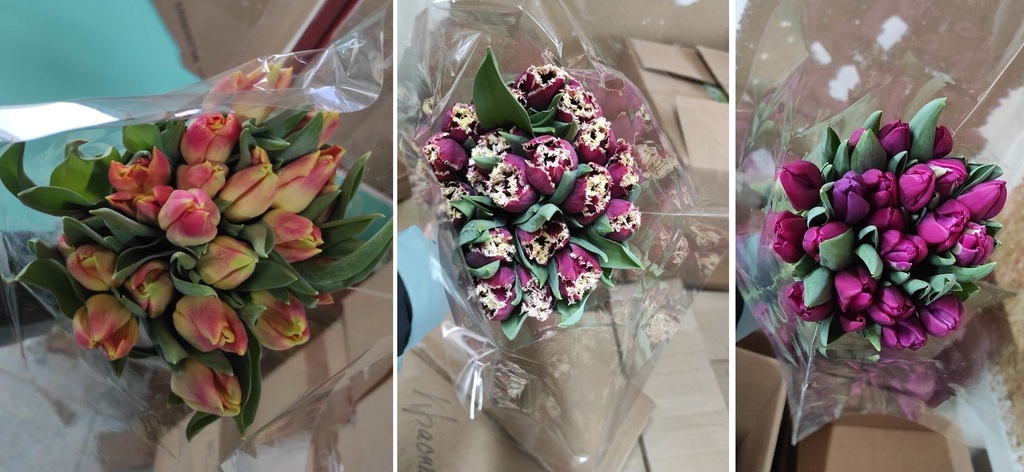 Названы самые популярные у саратовчанок сорта тюльпанов к 8 Марта