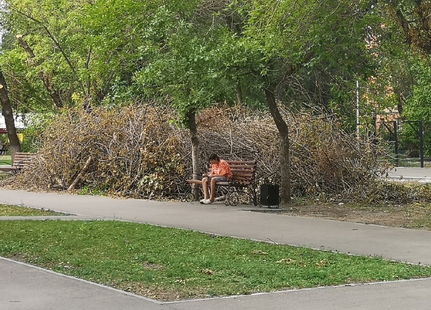 Спилили и забыли: в сквере перед администрацией Заводского района в Саратове рабочие оставили горы сухих веток