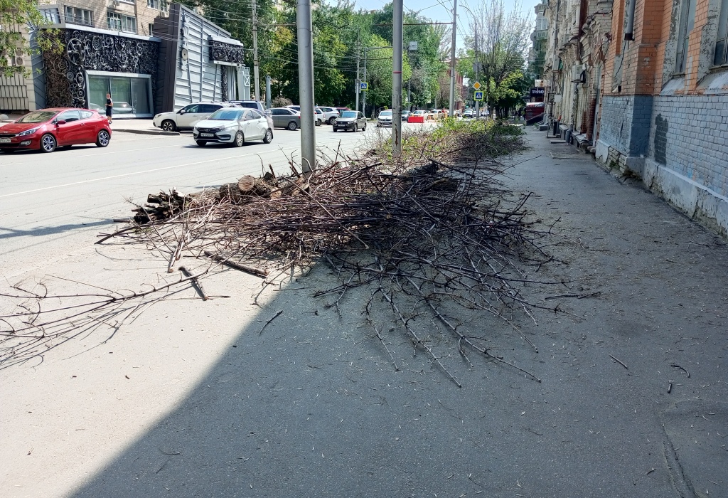 Деревья на Горького спилили 7