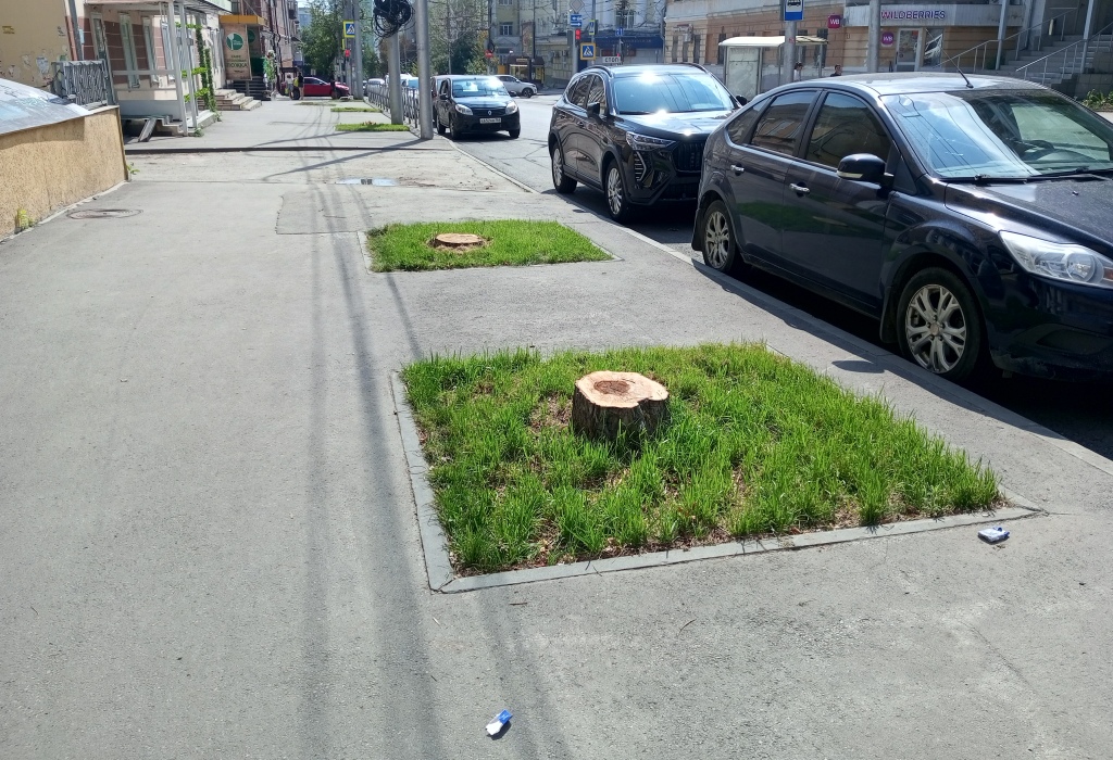 Деревья на Горького спилили 1