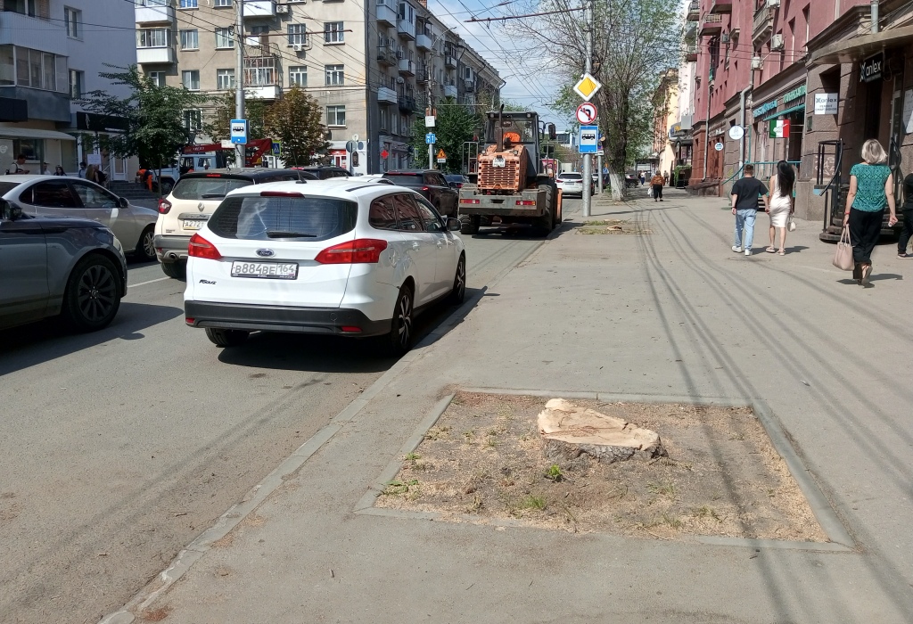 Деревья на Горького спилили 8