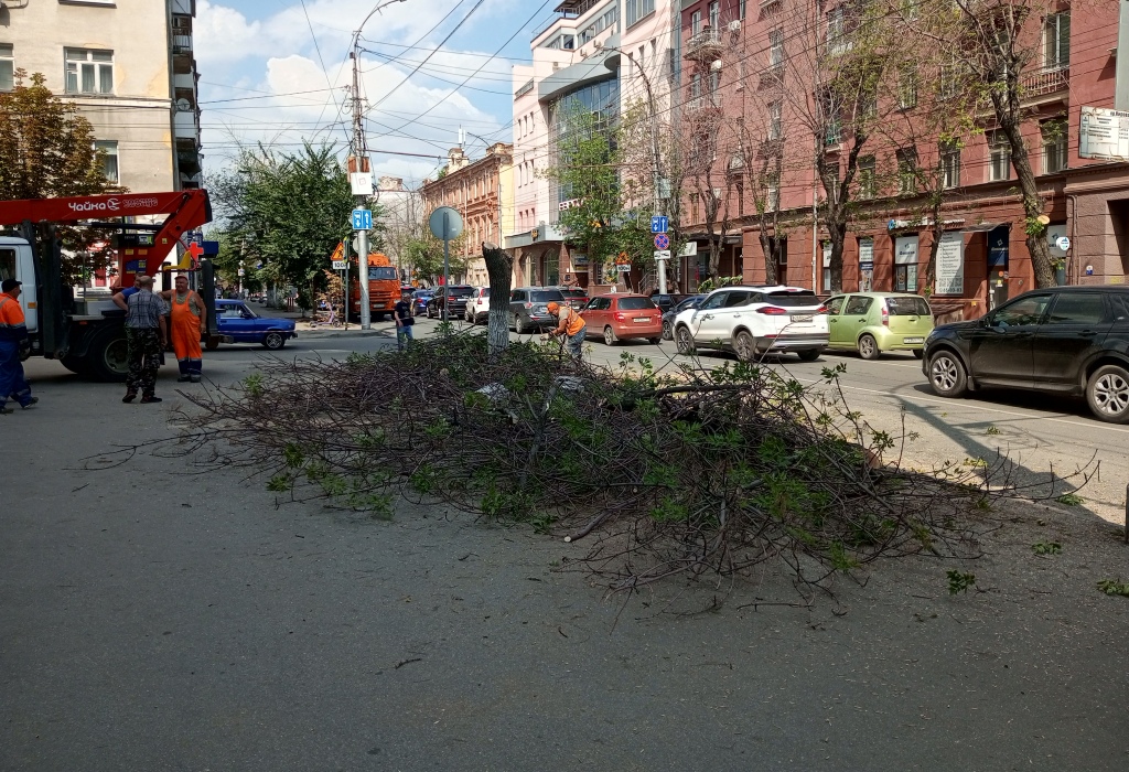 Деревья на Горького спилили 9