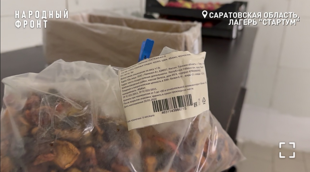 Проверка детских лагерей ОНФ 1