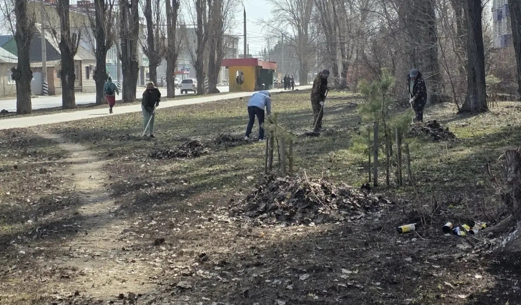 Разборки после уборки: чиновники обещают наказать саратовцев за мусор после субботников Разборки после уборки: чиновники обещают наказать саратовцев за мусор после субботников