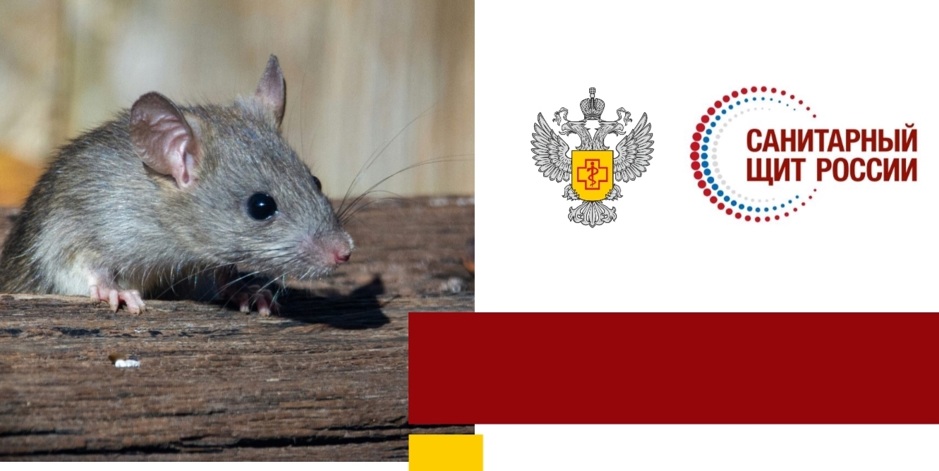 Опасность ГЛПС: губернатор советует саратовцам на Кумыске следовать всем правилам